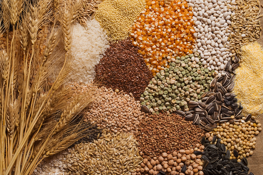 A picture of an assortment of grains